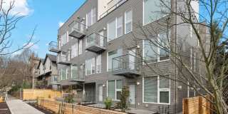 Canopy Apartments Gallery 25