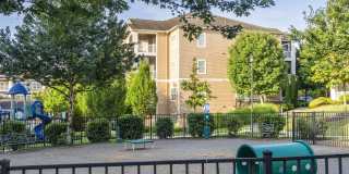 Oasis at Montclair Gallery 27