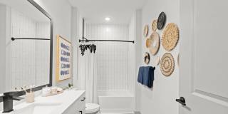 Axis at the Park Gallery 7