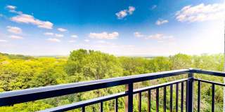 Ardor on the Bluff Gallery 57