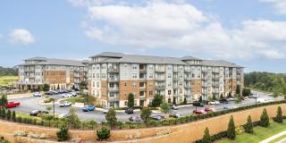 The Kingson Gallery 6