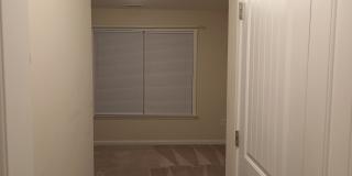 247 Cypress Hill Ln Gallery 18