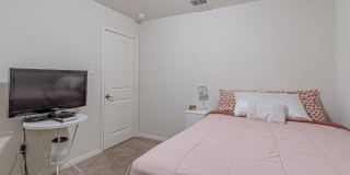 2831 Lavender Gallery 22