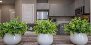 Trails at Hunter Pointe Gallery 19