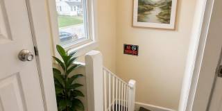 46 Dawson Avenue Gallery 2