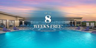 Alleia Watters Creek Gallery 1