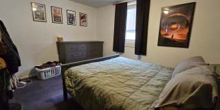 Spacious Ranch-Style 5BR Home w/ Finished Basement & Large Fenced Yard Gallery 12