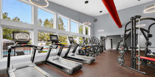 TGM Meadow View Gallery 27