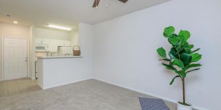 Ashton Woods Gallery 59