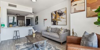 Alea Miami Gallery 42