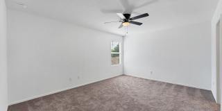 332 Elephants Ear Gallery 9