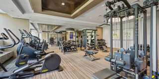 Urbane at Alewife Gallery 7