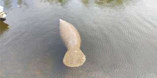 1806 NE 22nd Terrace Gallery 44