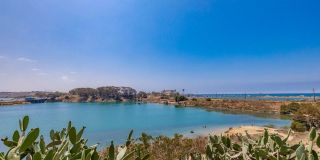 Carlsbad Condo West of 5 Freeway with Lagoon Views - Available June 1st! Carlsbad Condo West of 5 Freeway with Lagoon Views - Available June 1st! Gallery 37