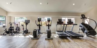Avana Chandler Gallery 19