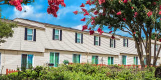 Hopkins Point Gallery 2