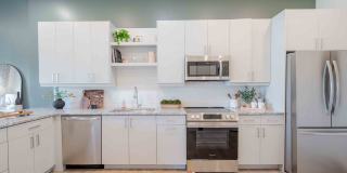 Alexan Waltham Gallery 15