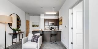 The Nest Gallery 14