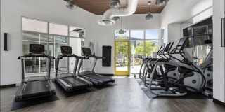 3698 vision cmn Gallery 20