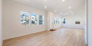 412 Flycatcher Gallery 8