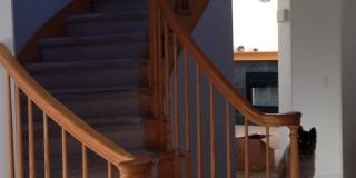 Beautiful 2 story custom home in Stoneridge Gallery 4