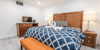 2364 Belvedere Drive Gallery 20