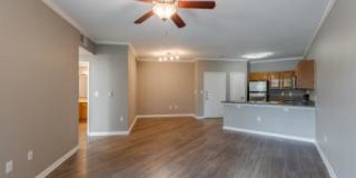 Olympus Las Colinas Gallery 35