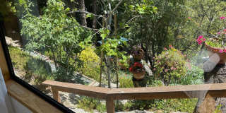 1504 Carmelita St Gallery 24