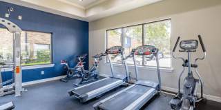 Bella Vista Gallery 8