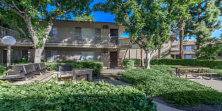 The Corsican Apartment Homes Gallery 1