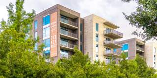 Avenue Grove Gallery 26