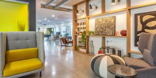 The Amelia Gallery 47