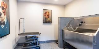 Skyline at Murrayhill Gallery 29