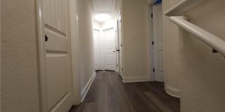 2510 Chestnut Street Gallery 29