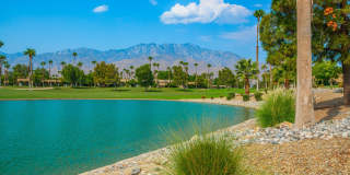 67821 N Portales Drive Gallery 24