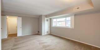 Almar Arms Gallery 11