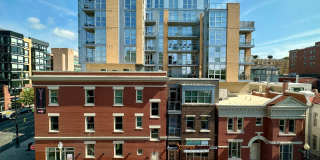 The Harper Gallery 169