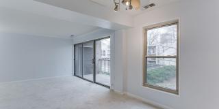 26 CANTERBURY Square unit: 202 Gallery 6