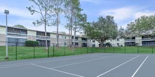 Amelia at Deerwood Gallery 9