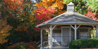 Park Trace Apartments Gallery 7