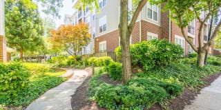 Regent's Park Gallery 31