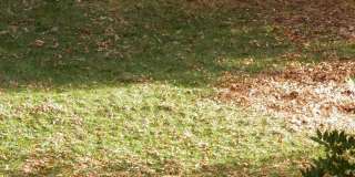20382 FARMGATE Terrace Gallery 26