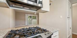 Northgate Apartments Gallery 8