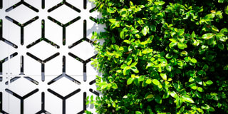 Sunset Vine Tower Gallery 61