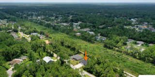 26 Serbian Bellflower Trail Gallery 41