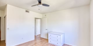 317 North Vine Avenue - Student Housing Gallery 1