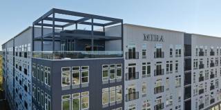 Mira Gallery 49