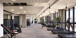 Isle House Gallery 13