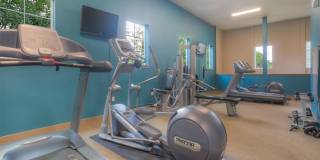 Seasons at Lea Hill Gallery 13