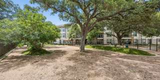 Thirty Oaks Gallery 19